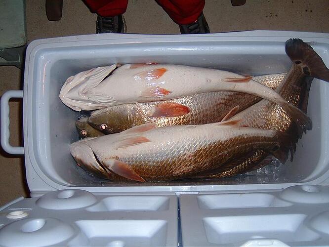 Jacob at Gulfarium and fishing pictures 016.jpg