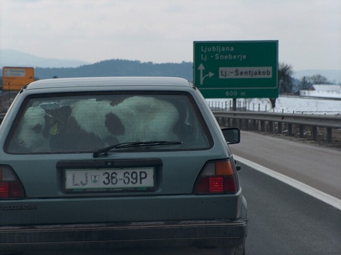 Back seat driver 2.jpg