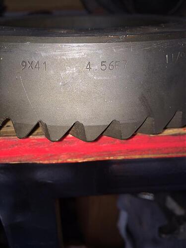 4.56rear.jpg