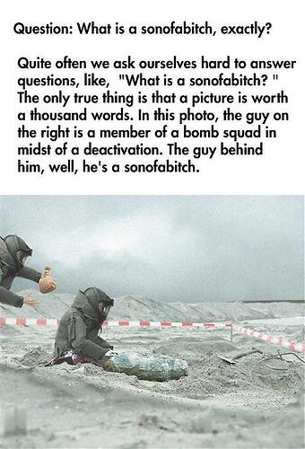 Sonofabitch.jpg