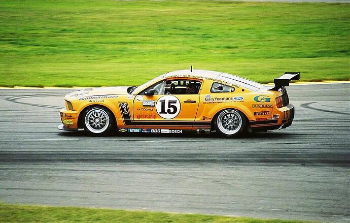 Mustang15Web.jpg