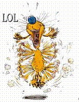 23.GIF