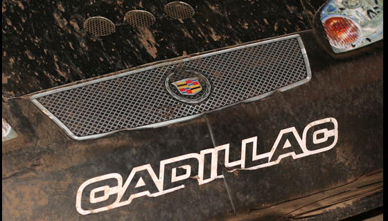 Caddy.jpg